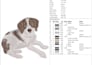 convert pet photos into stunning embroidery digitized files